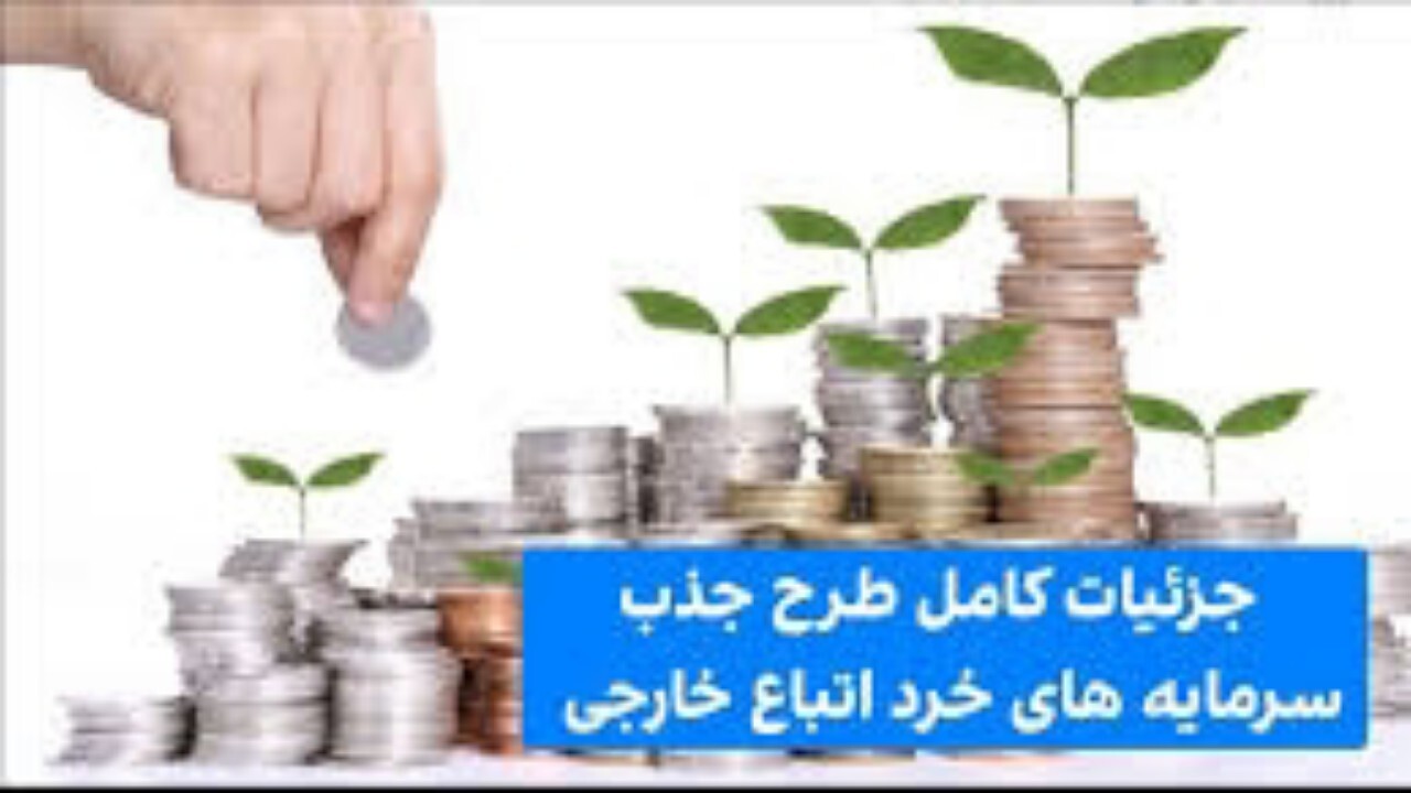 طرح جذب سرمایه های خرد اتباع + فیلم