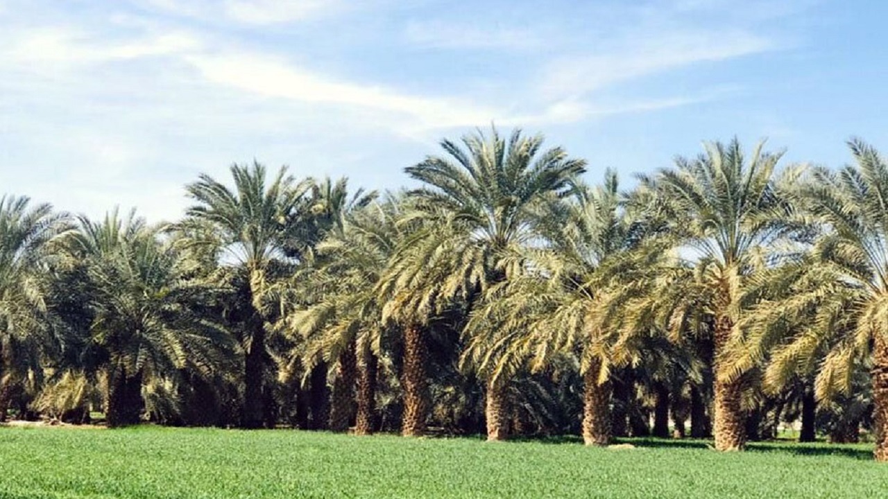 بهره برداری از ۴ طرح آبیاری تحت فشار به وسعت ۳۱۴ هکتار