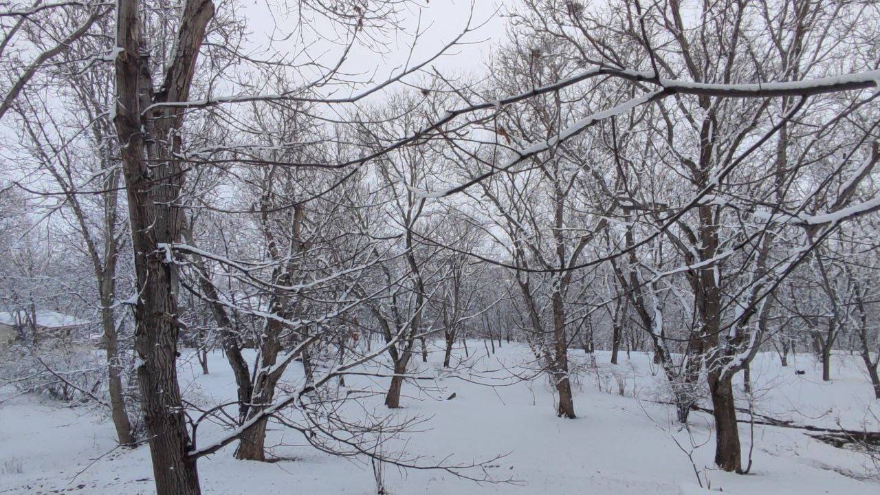 بارش برف زمستانی