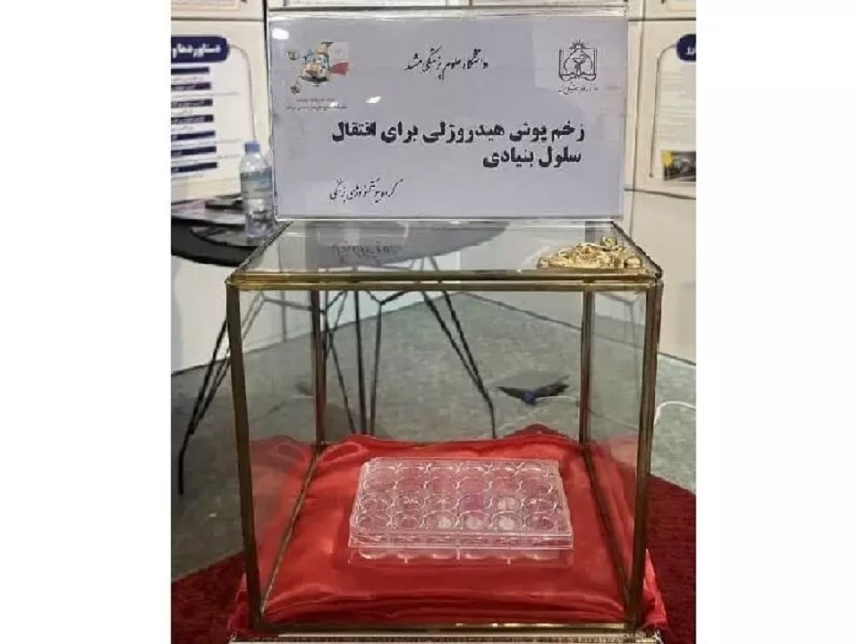 اختراع پژوهشگران مشهدی «زخم‌پوش» با قابلیت انتقال سلول‌های بنیادی