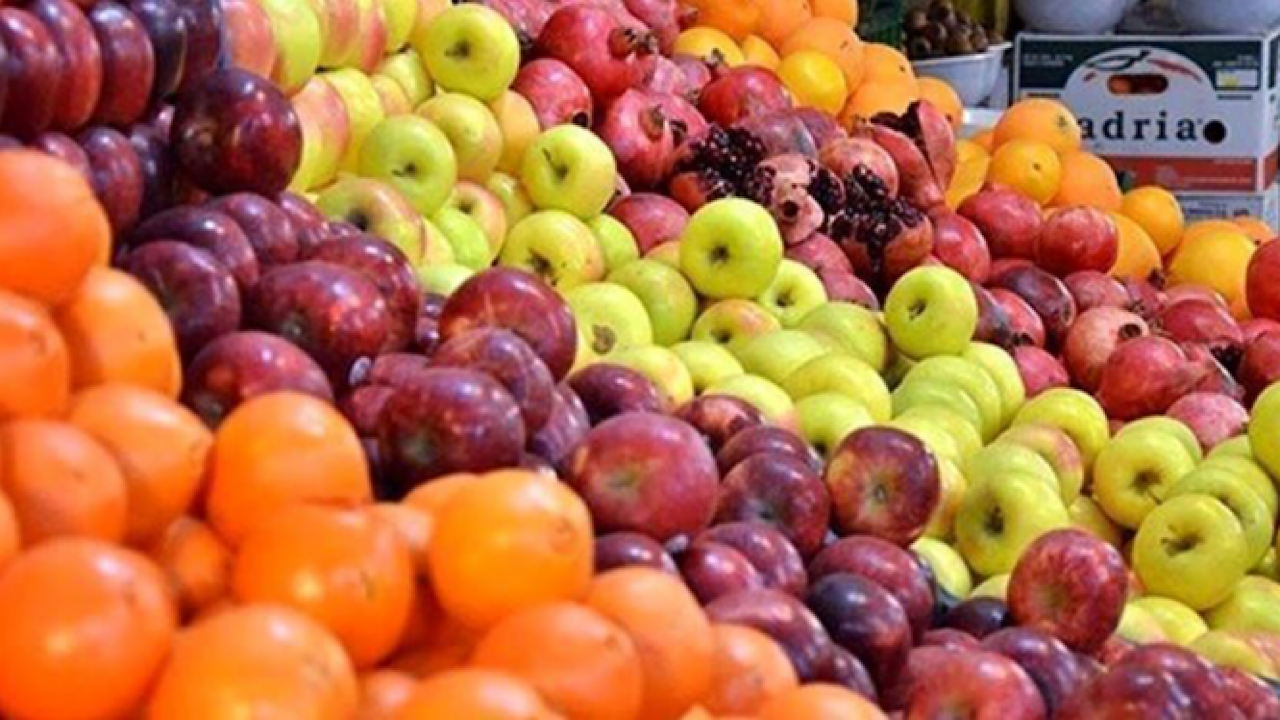 ۴۰ درصد مرکبات و ۵۰ درصد سیب درختی در سردخانه‌هاست