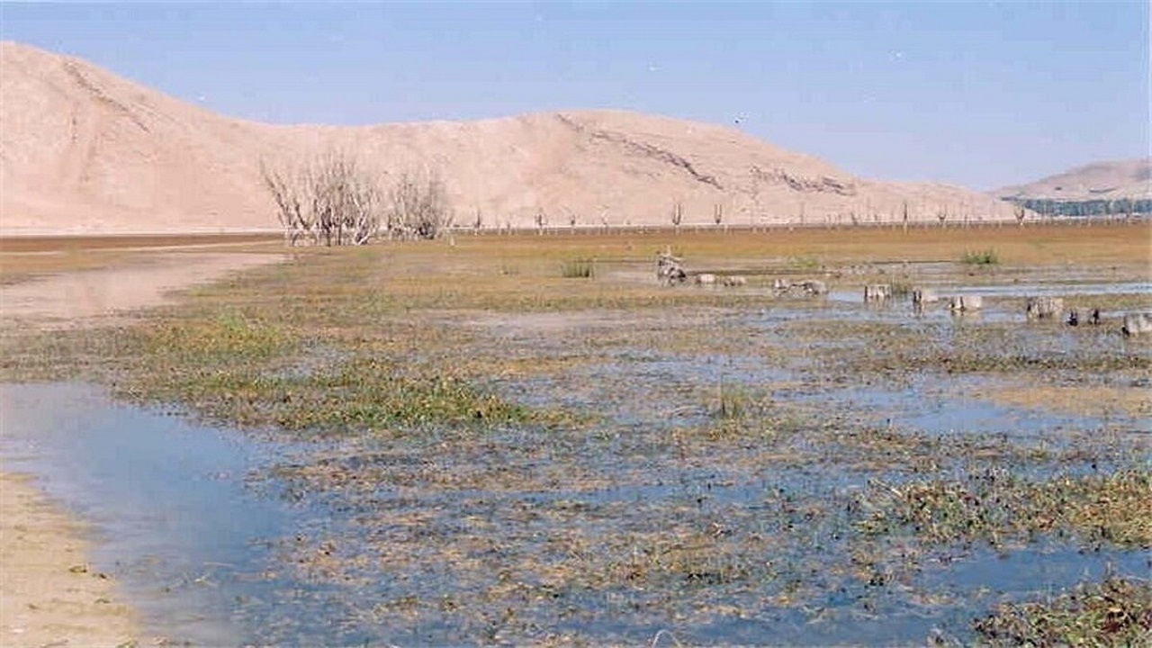 احیای تالاب خانمیرزا در دستور کار مسئولان