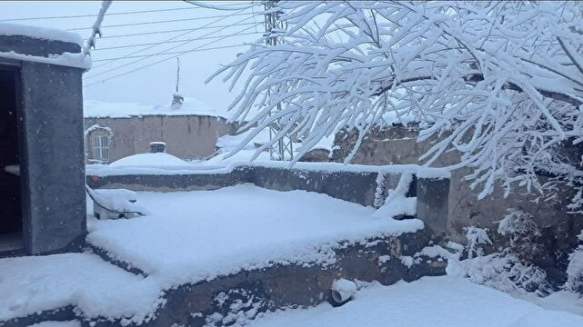 برف در خراسان جنوبی