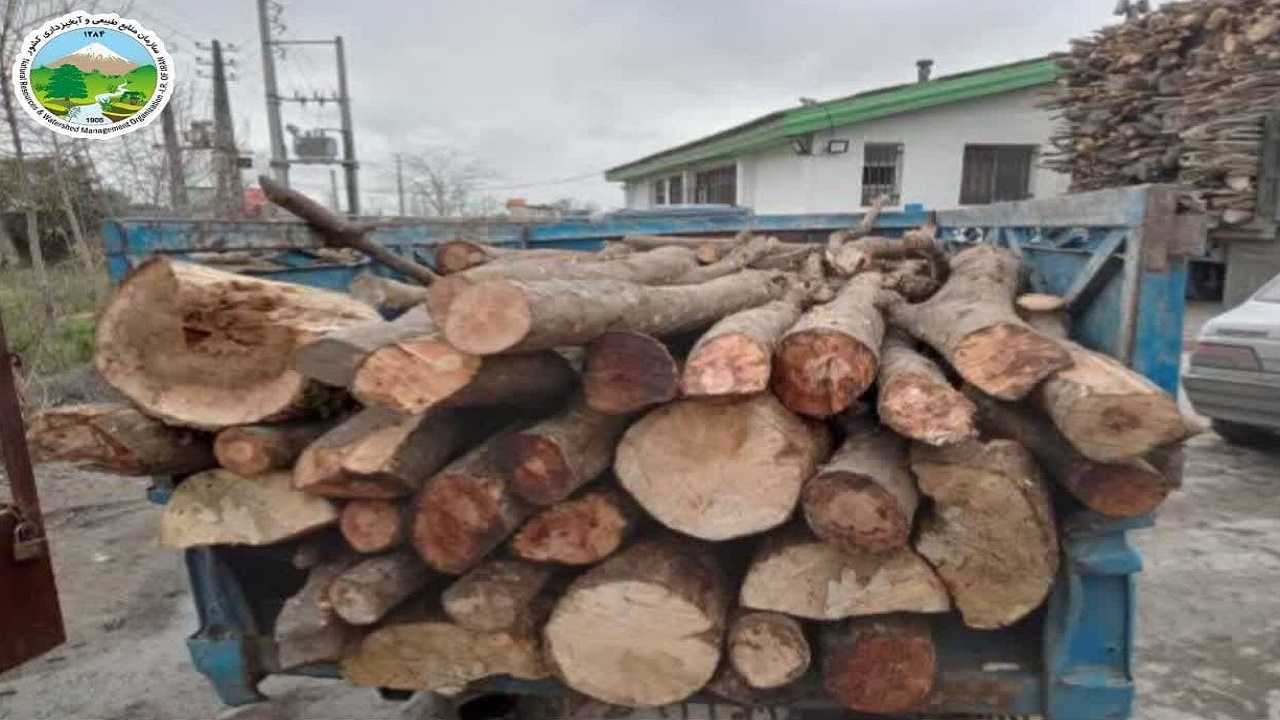 کشف ۳۰۰۰ کیلوگرم چوب جنگلی قاچاق در میاندورود