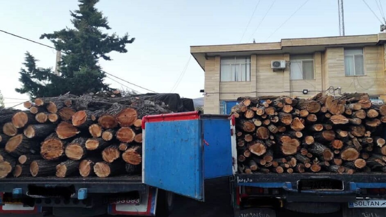 کشف ۲۰۰ تن چوب قاچاق در جازموریان