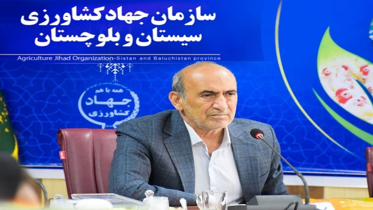 جوجه ریزی در واحدهای مرغداری سیستان وبلوچستان از ۲۲ میلیون قطعه فراتر رفت