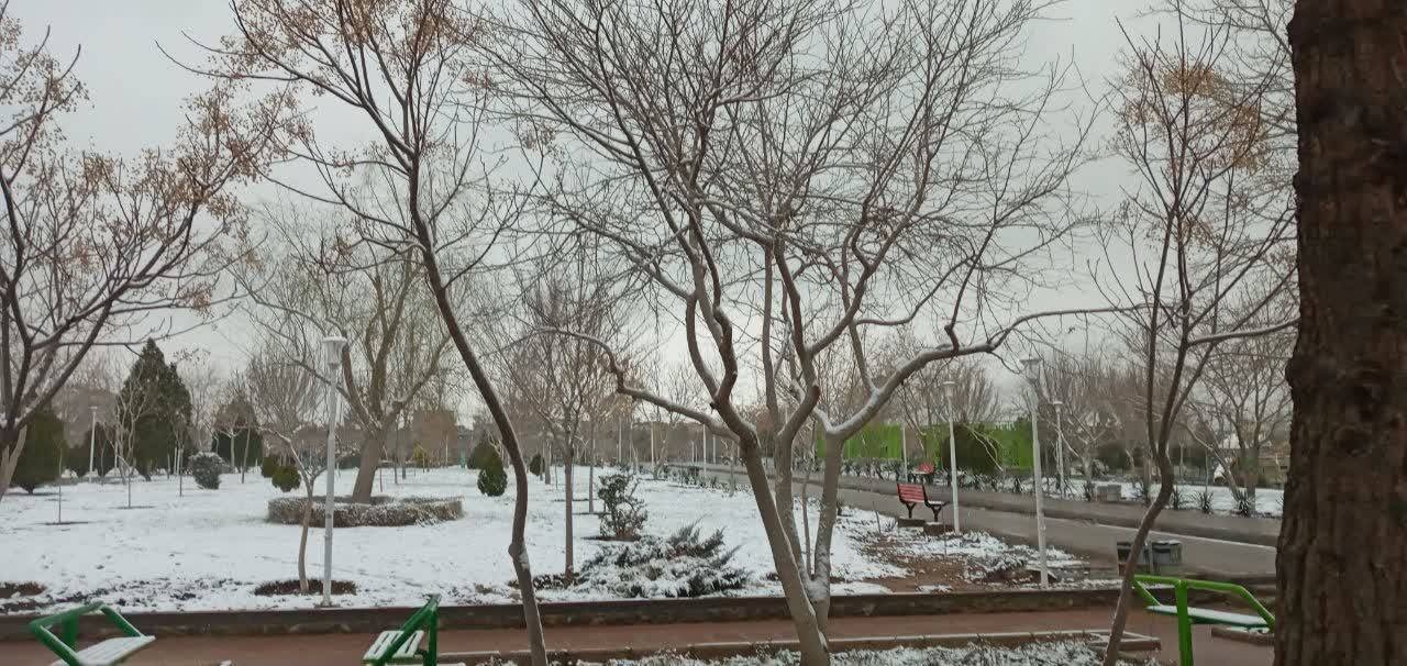 طبیعت برفی