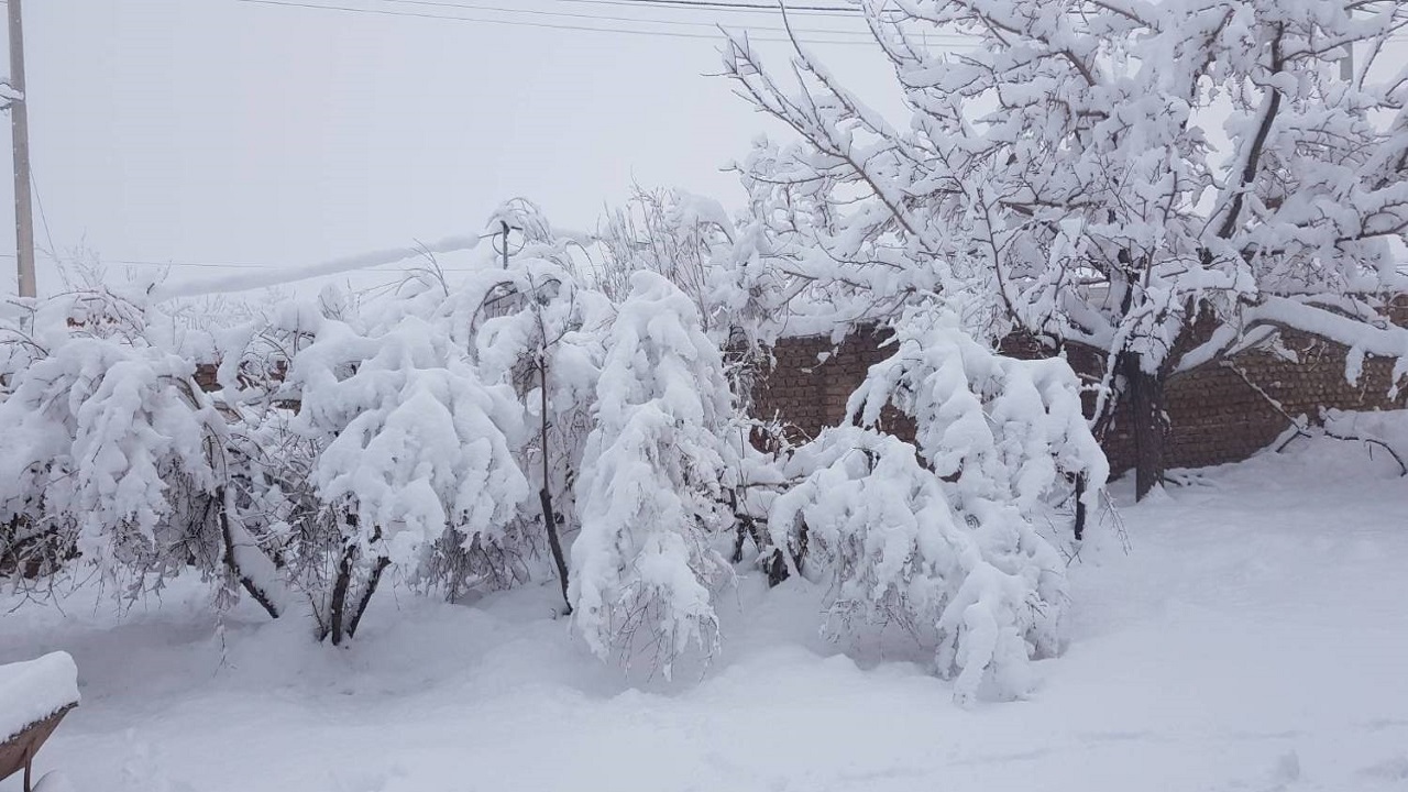 جلوه زمستانی روستای همند نهبندان با بارش برف + تصاویر