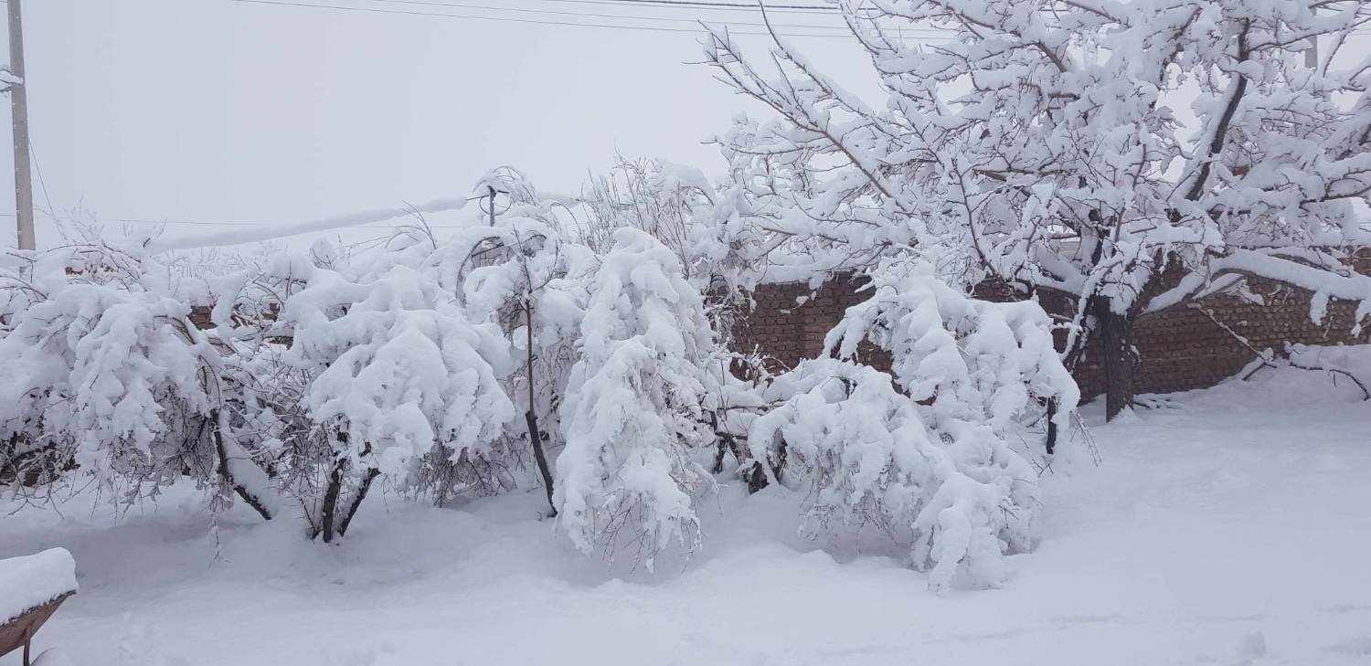 بارش برف در روستای همند نهبندان