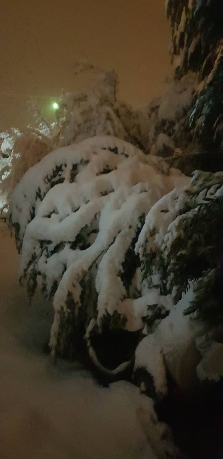 بارش برف