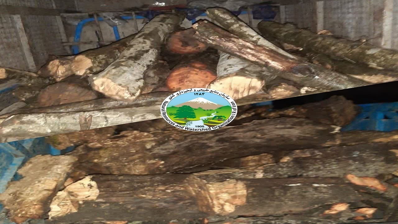 کشف ۳ تن چوب آلات هیزمی قاچاق در شهرستان نور