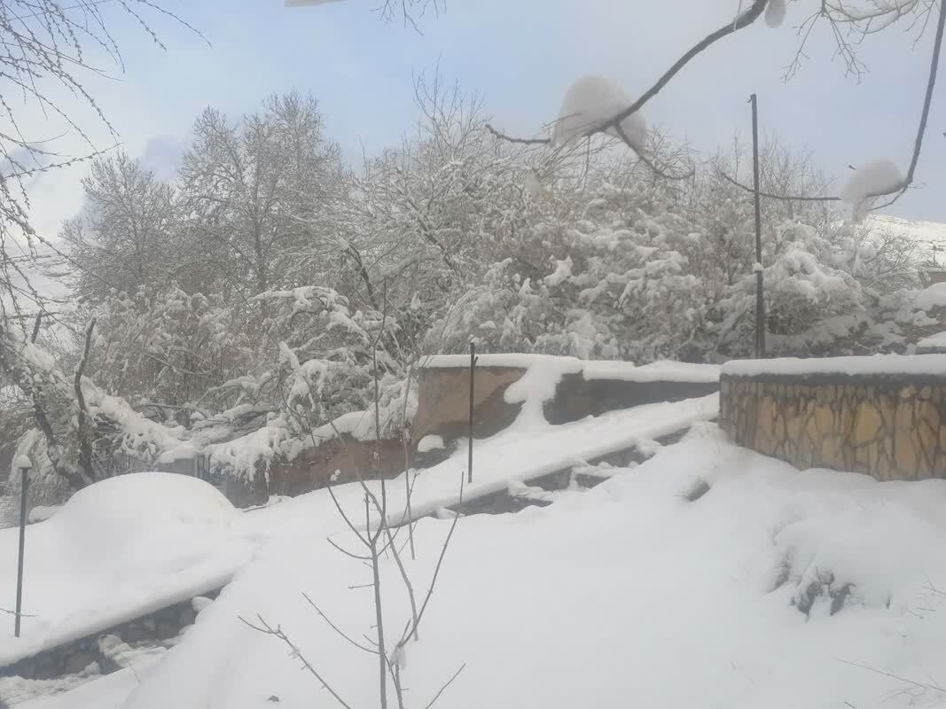 برف سنگین در روستای طرز برف سنگین در روستای طرز