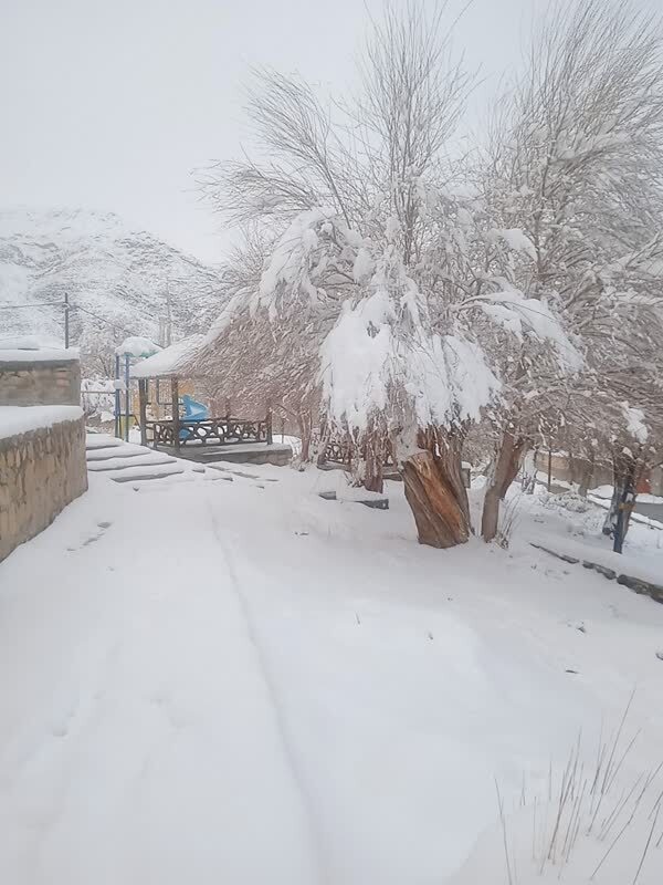 بارش برف و زمستان سرد در روستای طرز بارش برف و زمستان سرد در روستای طرز