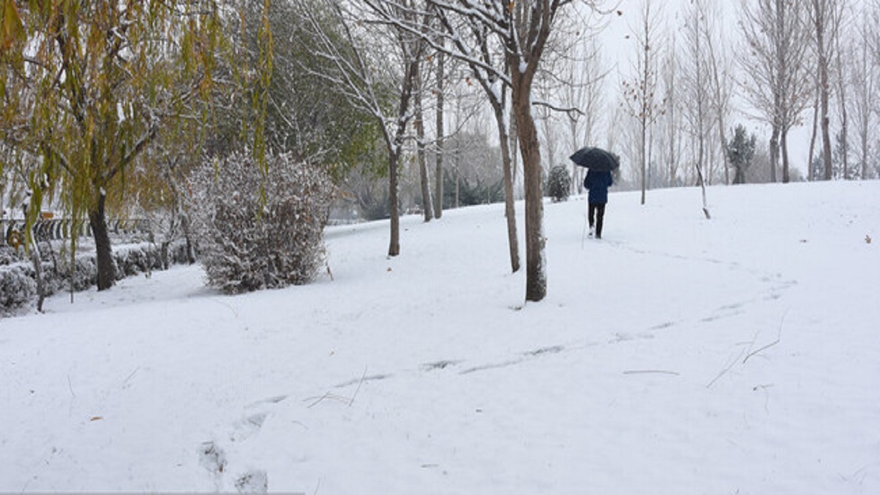 زمستانی شدن روستای ابراهیمی با بارش برف + فیلم