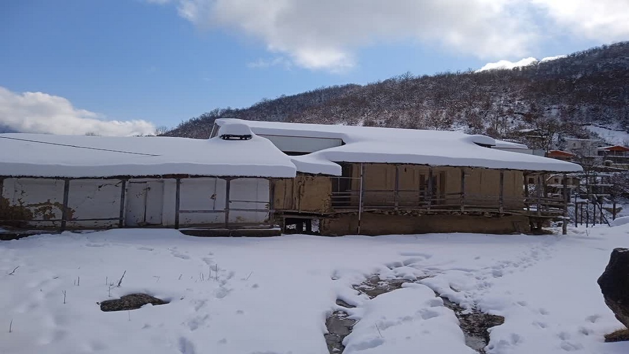 سفید شدن معابر روستای ماهیان علی آباد با بارش برف + تصاویر