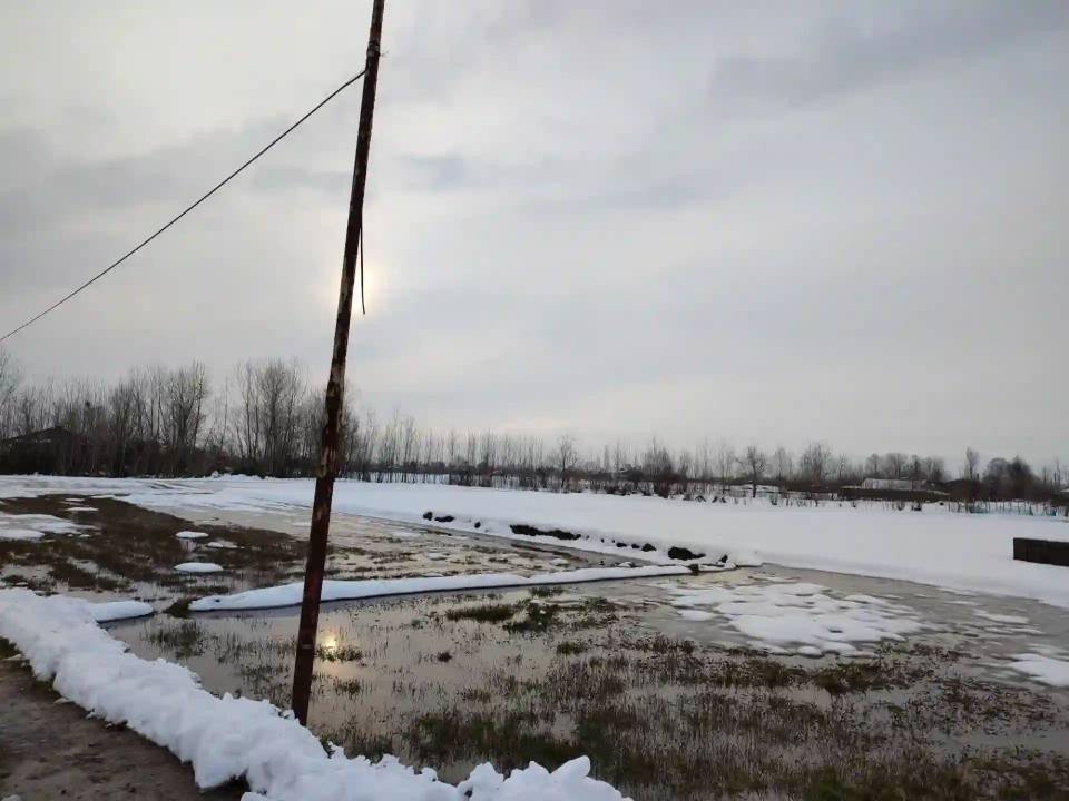 طبیعت زمستانی طبیعت زمستانی