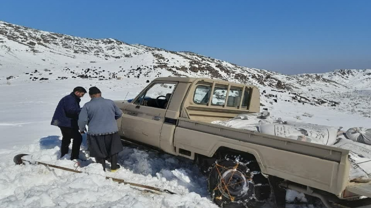 نجات جان ۴ دامدار و ۱۰۰۰ راس گوسفند در روستای فردوی قم