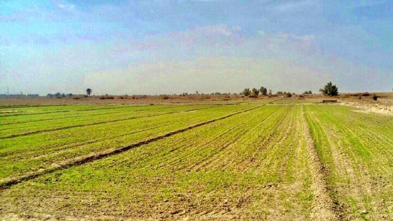 ۱۵ هزار هکتار از اراضی خراسان جنوبی به نفع کشاورزان غیر ملی شد