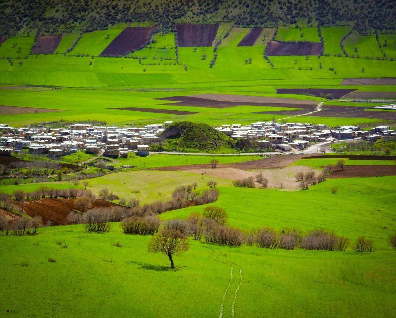 زمین های کشاورزی