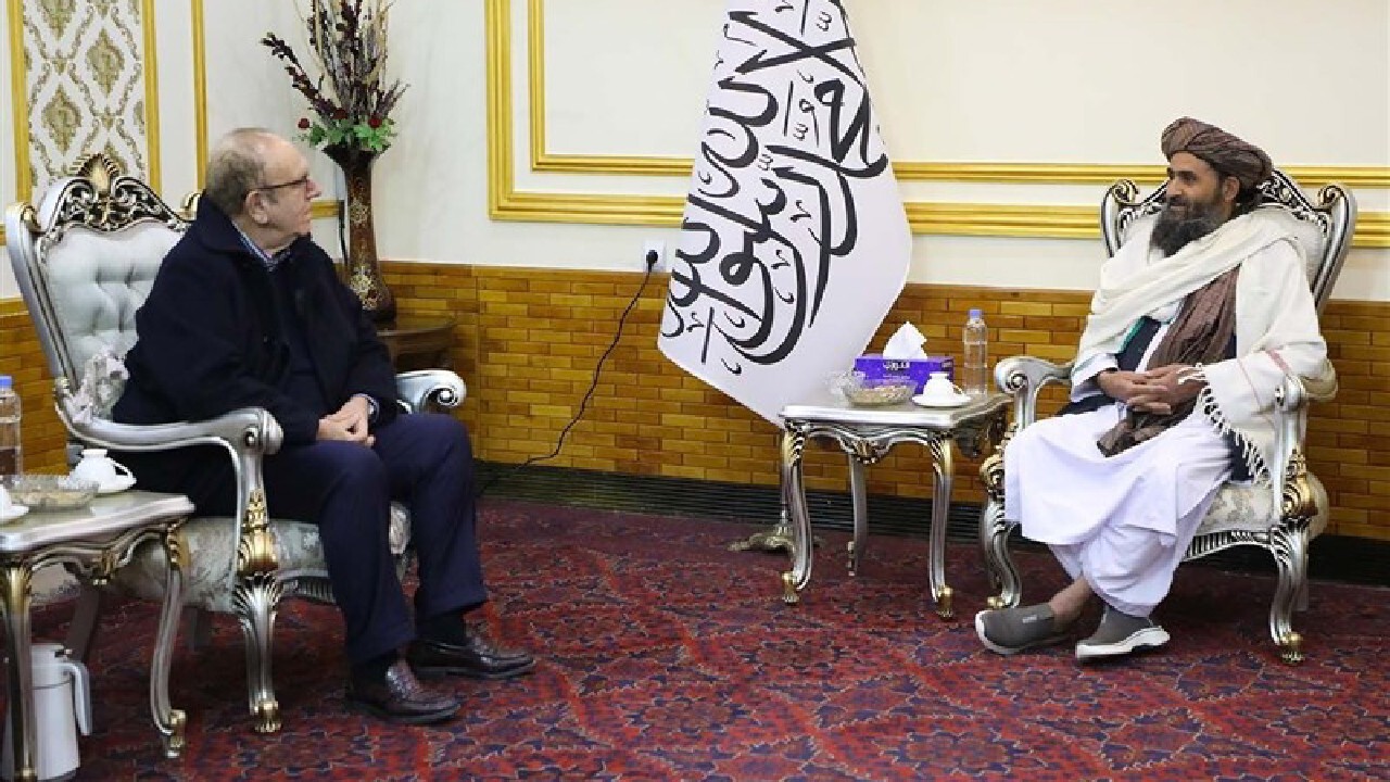 جامعه جهانی باید برای کشت جایگزین خشخاش همکاری کند