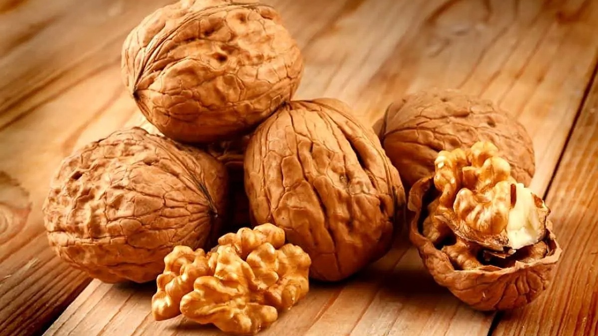 طرح پیوند سرشاخه کاری گردو در قزوین + فیلم