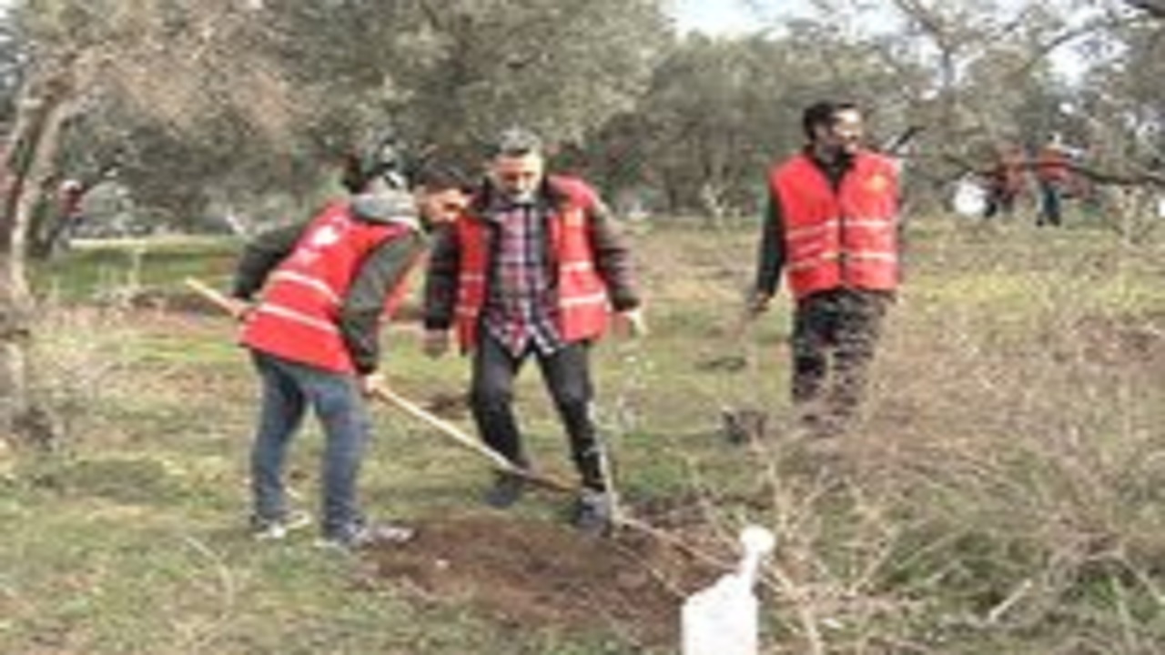 کاشت ۲ هزار نهال توسط مددجویان زندان‌های گلستان