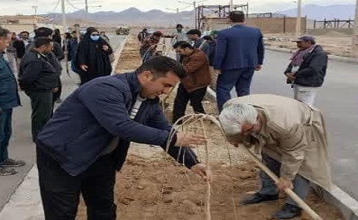 غرس نهال در خراسان جنوبی