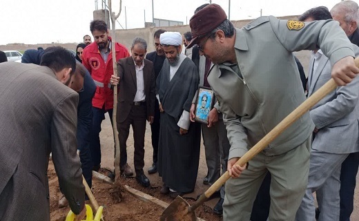 غرس نهال در خراسان جنوبی