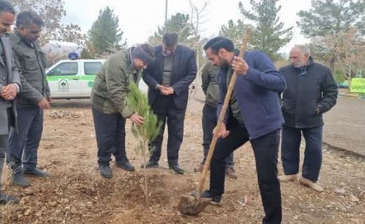 غرس نهال در خراسان جنوبی