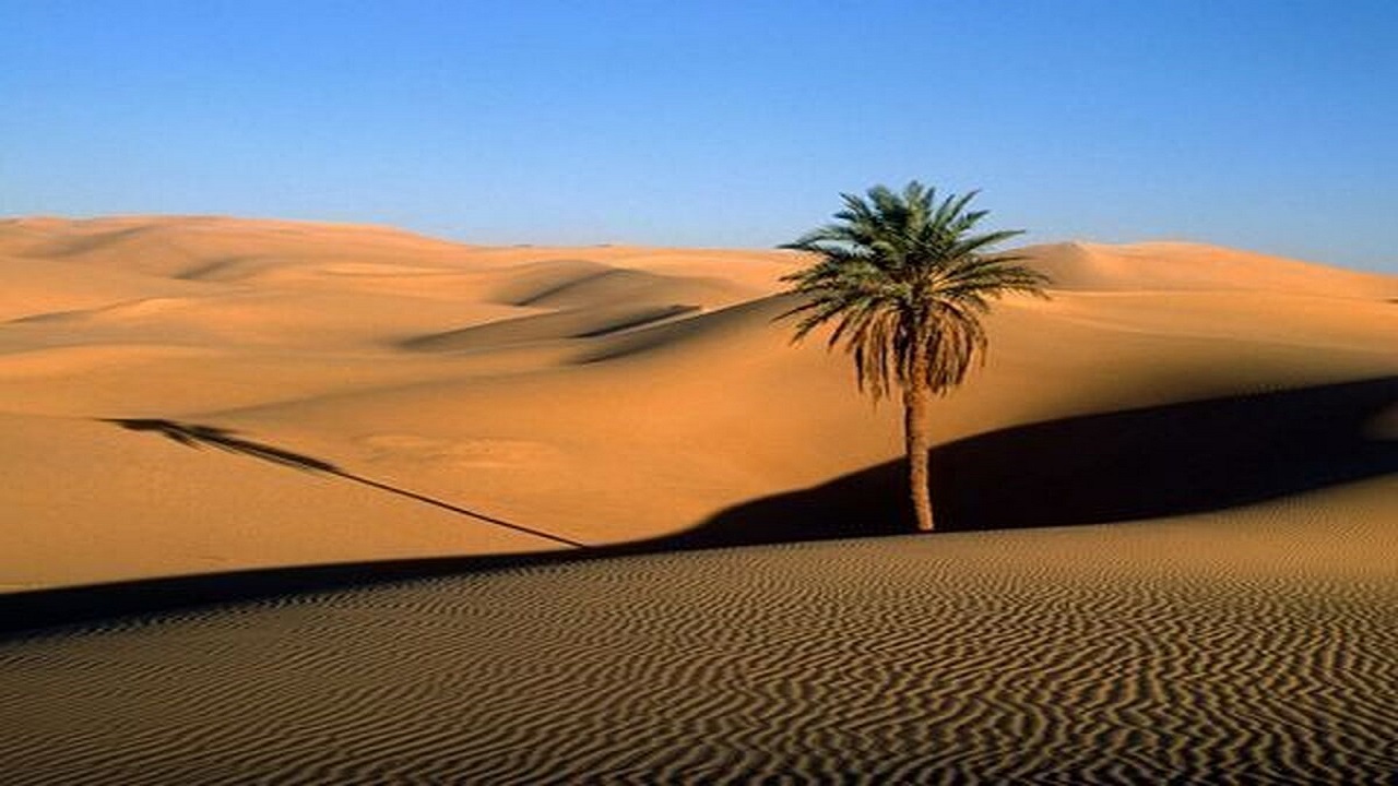 اجرای ۱۷ هزار کیلومتر بادشکن اطراف مزارع برای کنترل فرسایش بادی