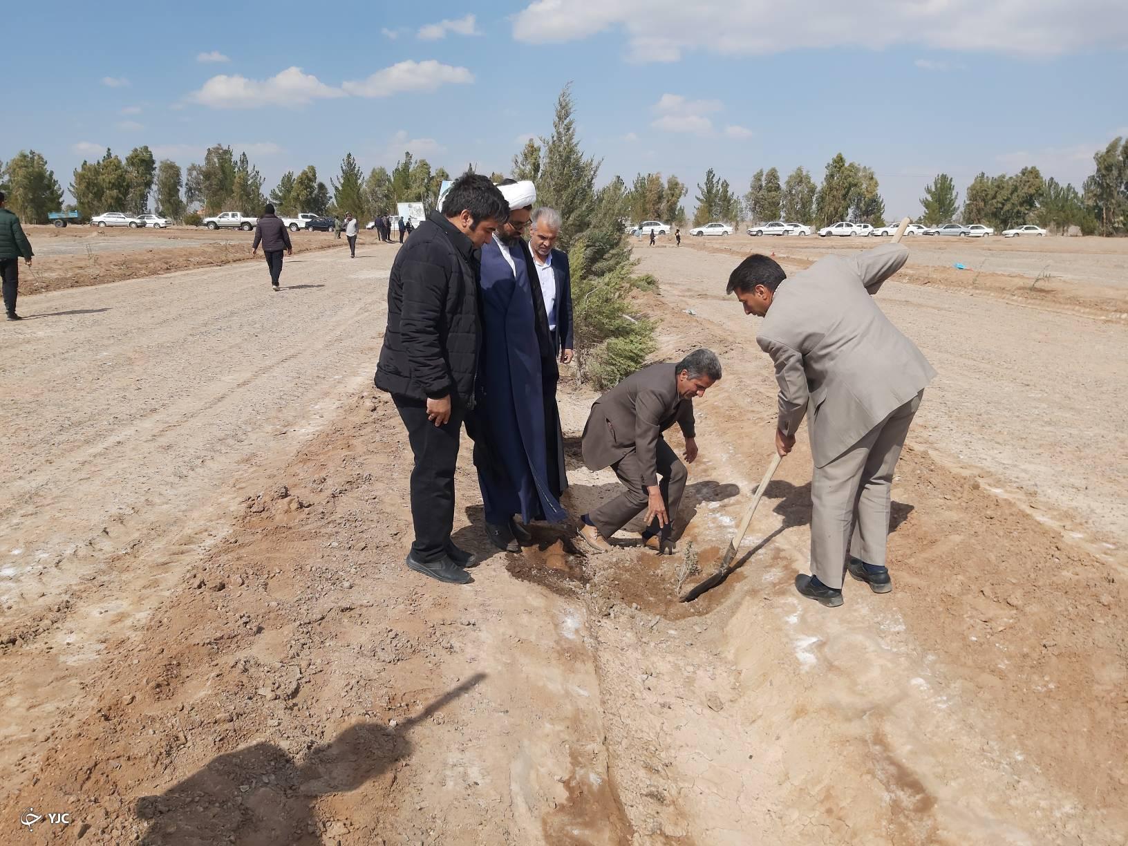 کاشت ۱۰ هزار اصله نهال در پارک طبیعت و مدارس انار
