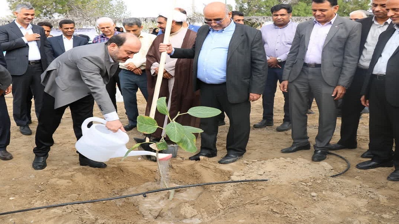 کاشت ۱۰۰ هزار اصله نهال در هرمزگان