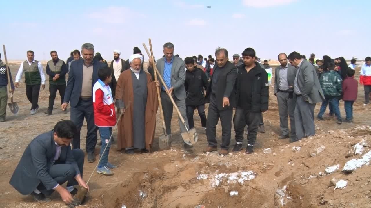 نهال کاری در شهرستان میبد