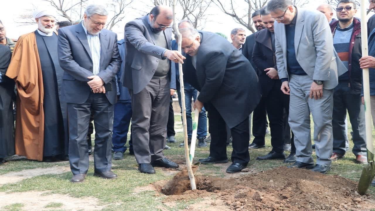 کاشت درخت در استان قزوین