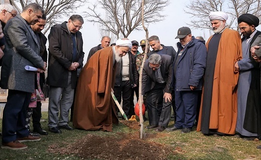 کاشت درخت در استان قزوین
