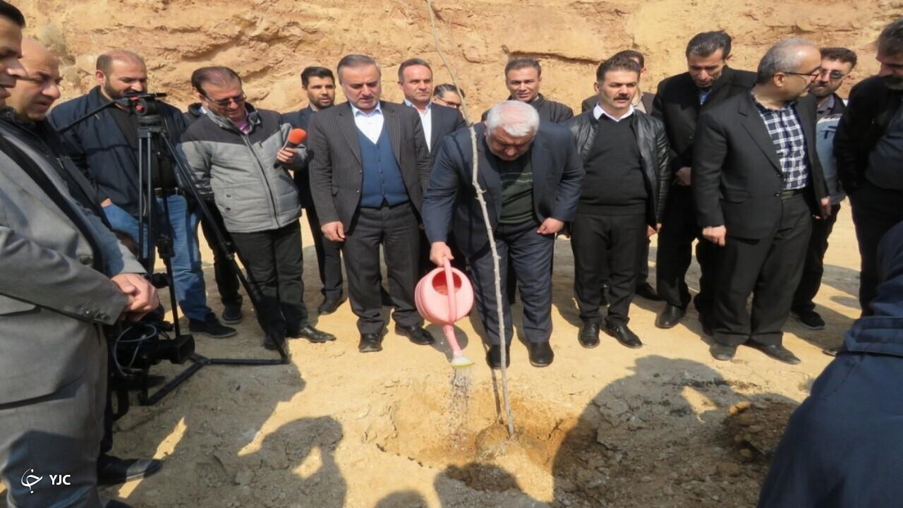 برنامه‌های هفته منابع طبیعی با کاشت نهال در مهاباد آغاز شد