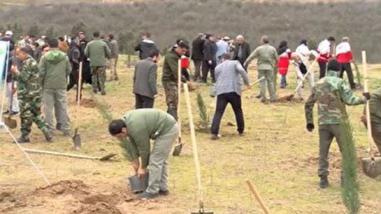 کاشت بیش از ۲ میلیون اصله نهال در گلستان + فیلم