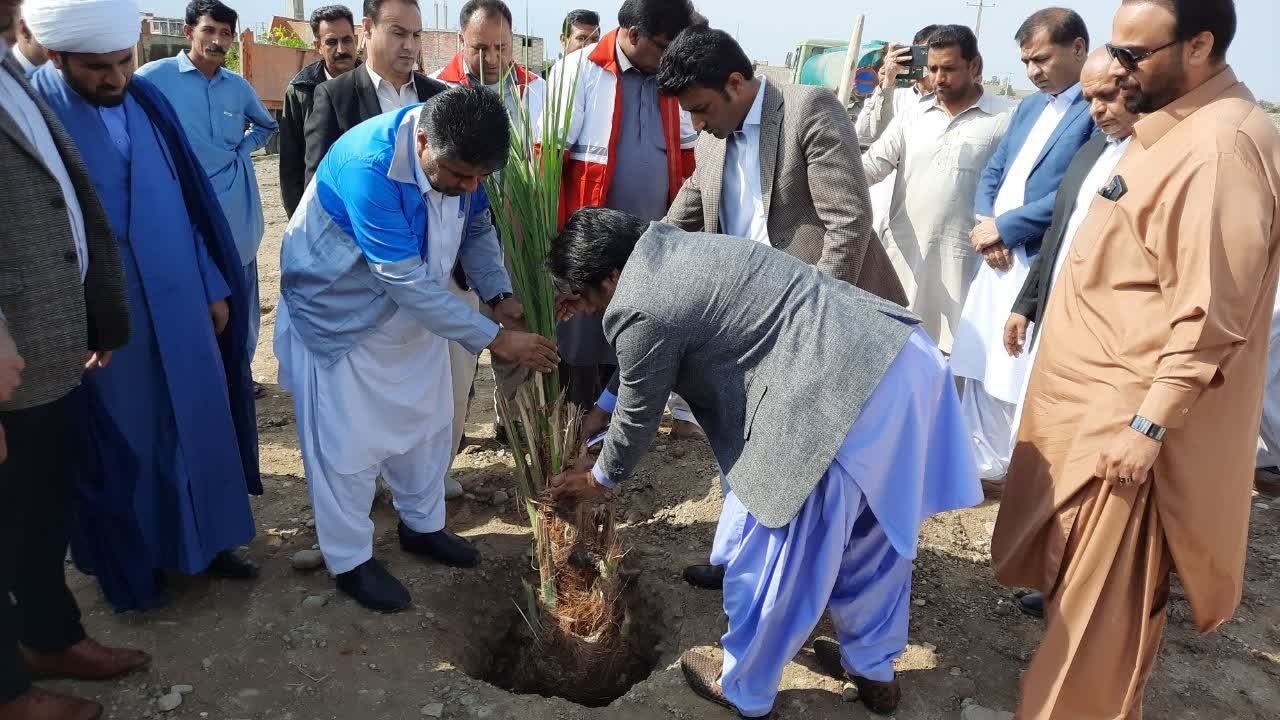 کاشت و توزیع ۲۰۰ اصله نهال در ایرانشهر