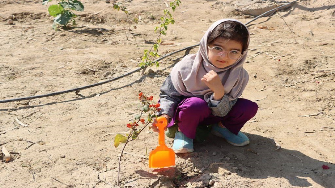 کاشت ۱۰۰ اصله نهال در نهالستان مرکزی اداره منابع طبیعی لارستان + تصاویر