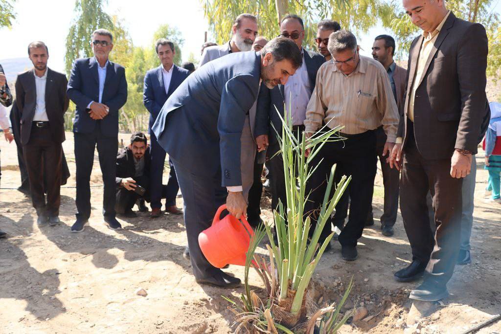 کاشت نهال در روز درختکاری