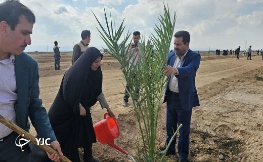آغاز احداث نخستین نخلستان هوشمند و صنعتی در بافق آغاز احداث نخستین نخلستان هوشمند و صنعتی در بافق