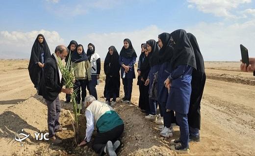 آغاز احداث نخستین نخلستان هوشمند و صنعتی در بافق آغاز احداث نخستین نخلستان هوشمند و صنعتی در بافق
