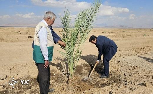 آغاز احداث نخستین نخلستان هوشمند و صنعتی در بافق آغاز احداث نخستین نخلستان هوشمند و صنعتی در بافق