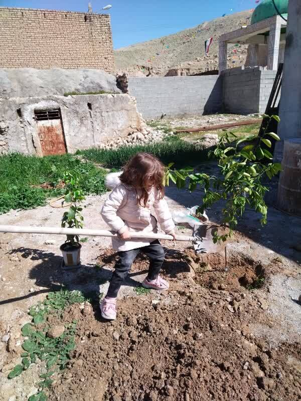 کاشت درخت توسط دختر کوچک