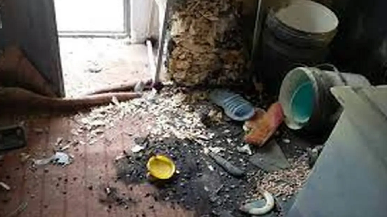 قربانی زودهنگام چهارشنبه سوری