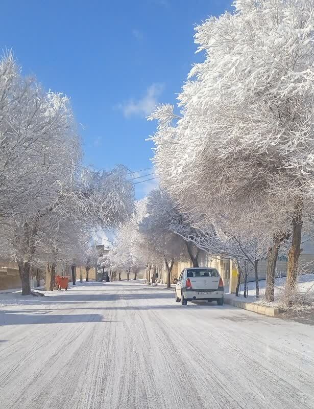 طبیعت زمستانی
