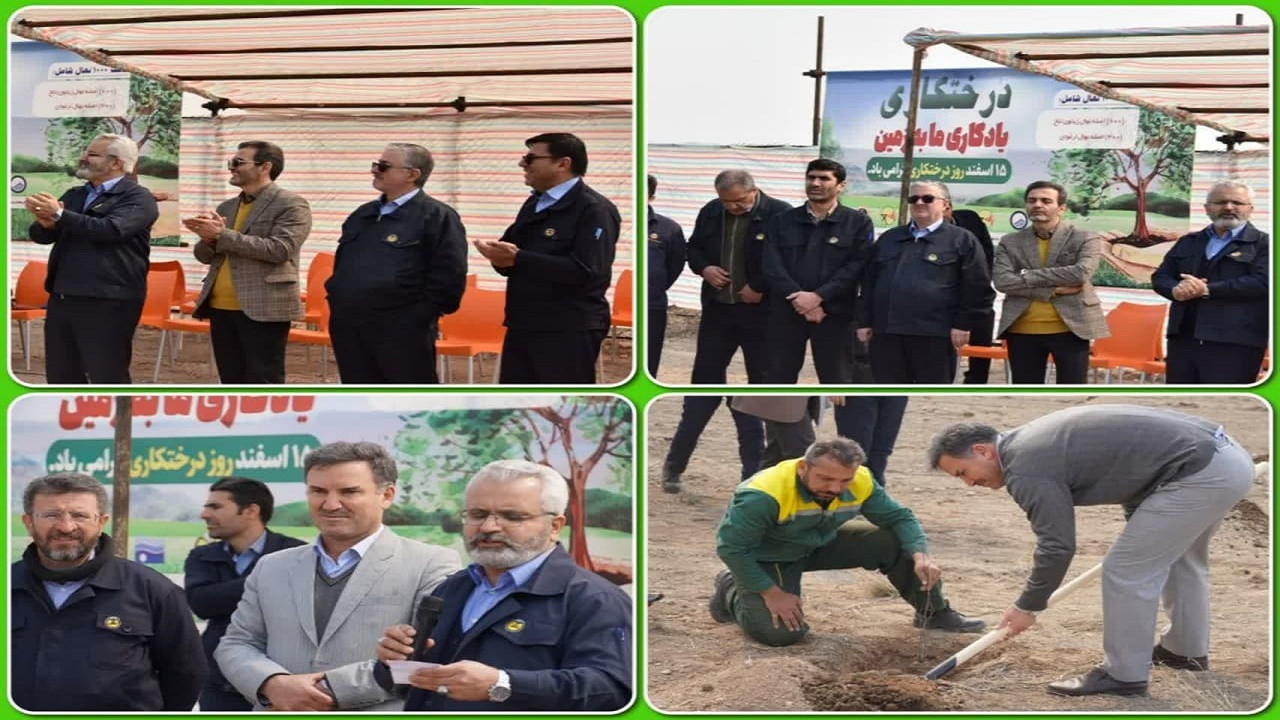 کاشت هزار اصله نهال در نیروگاه شهیدرجایی قزوین