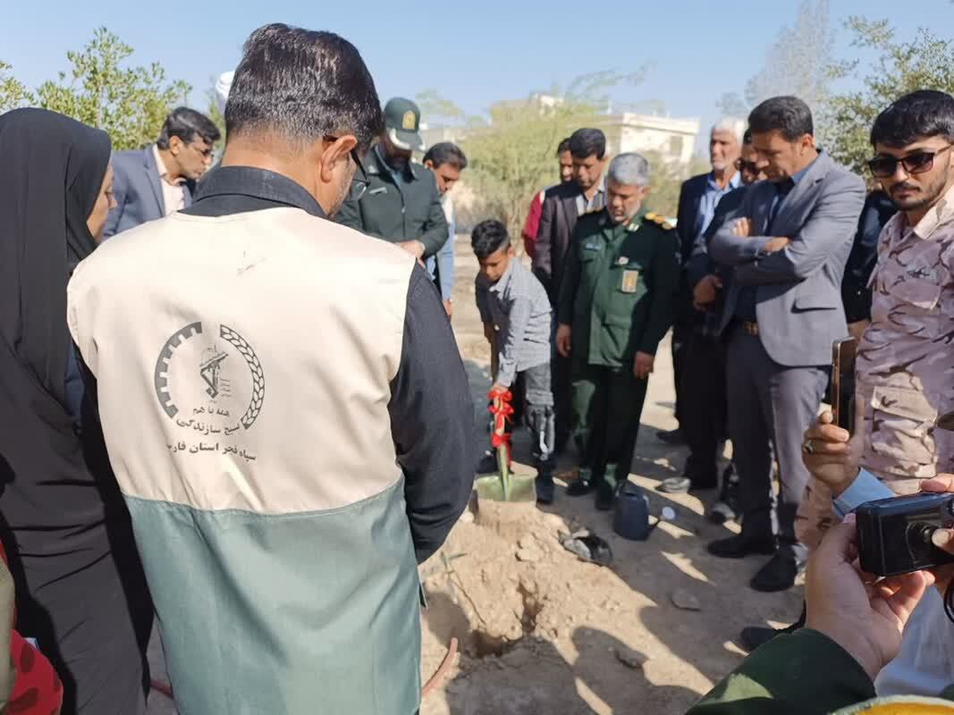 کاشت نهال کاشت نهال