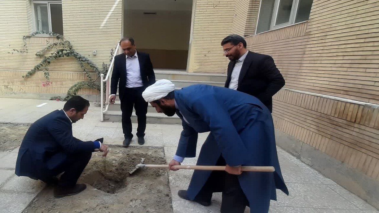 کاشت نهال در دانشگاه پیام نور سیستان و بلوچستان