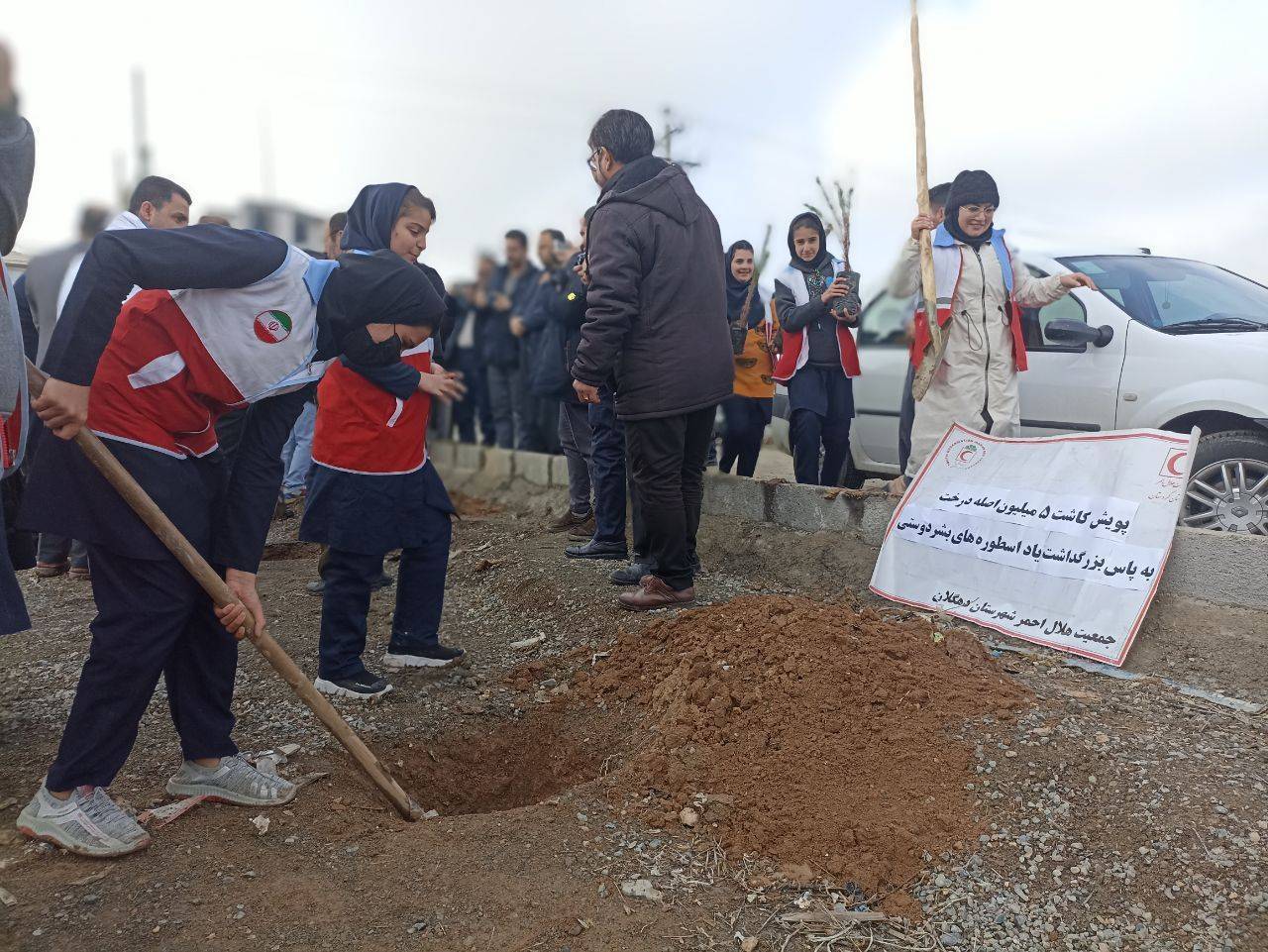 کاشت ۵ میلیون نهال